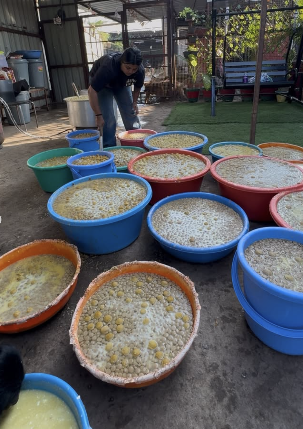 Feeding drive preparation